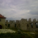 Ruiny Zamku w Rabsztynie