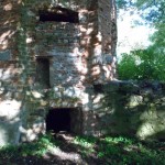 Ruiny Zamku w Wyszynie