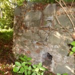 Ruiny Zamku w Wyszynie